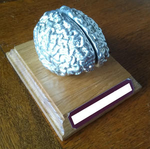 A picture of the finished project. The form of a brain cast in metal on a wooden plinth.
